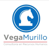 VM Consultores en Recursos Humanos